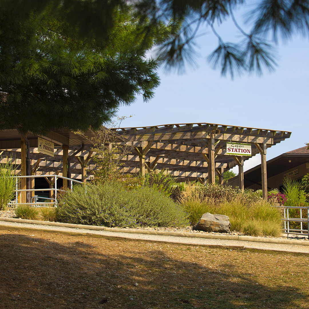 Safari station at Lake Tobias Wildlife Park